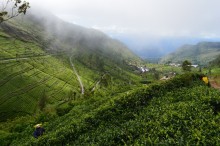 Haputale - Home to Lipton's empire (Yes, the tea of course!)