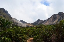Our first Indonesian volcano 'trek' on Gunung Sibayak
